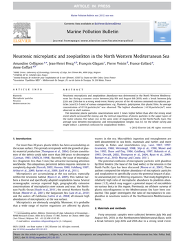 Neustonic Microplastic and Zooplankton in the North Western Mediterranean Sea