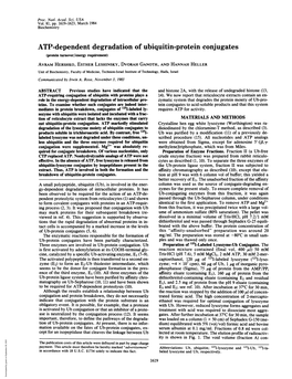 ATP-Dependent Degradation of Ubiquitin-Protein Conjugates