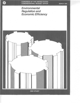 Environmental Regulation and Economic Efficiency