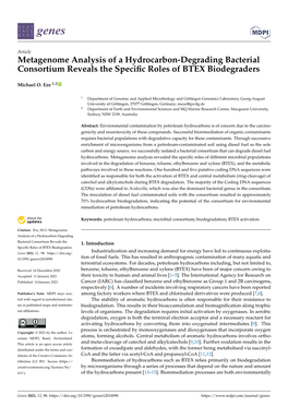 Metagenome Analysis of a Hydrocarbon-Degrading Bacterial Consortium Reveals the Speciﬁc Roles of BTEX Biodegraders