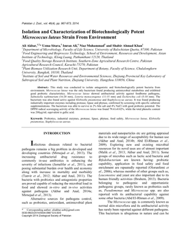 Isolation and Characterization of Biotechnologically Potent Micrococcus Luteus Strain from Environment