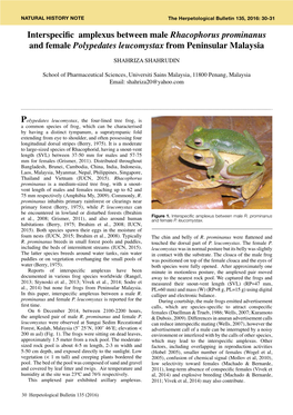 Interspecific Amplexus Between Male Rhacophorus Prominanus and Female Polypedates Leucomystax