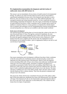 Pre-Implantation Mammalian Development and Derivation of Embryonic Stem Cells (HS Lecture 1)