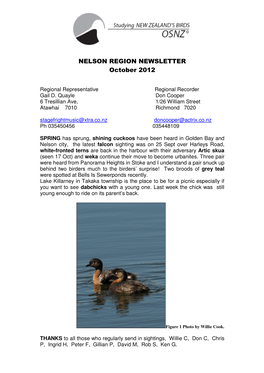 NELSON REGION NEWSLETTER October 2012