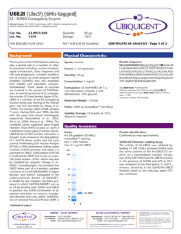 UBE2I (Ubc9) [6His-Tagged] E2 - SUMO Conjugating Enzyme