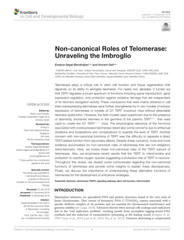 Non-Canonical Roles of Telomerase: Unraveling the Imbroglio