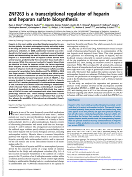 ZNF263 Is a Transcriptional Regulator of Heparin and Heparan Sulfate Biosynthesis