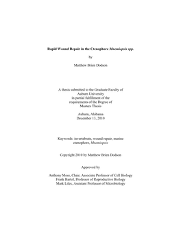 Ii Rapid Wound Repair in the Ctenophore Mnemiopsis Spp. By