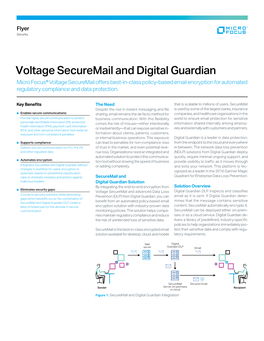 Voltage Securemail and Digital Guardian