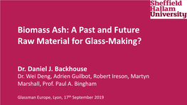 Biomass Ash: a Past and Future Raw Material for Glass-Making?