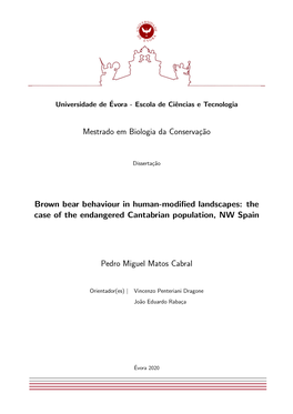 Mestrado Em Biologia Da Conservaç˜Ao Brown Bear Behaviour In