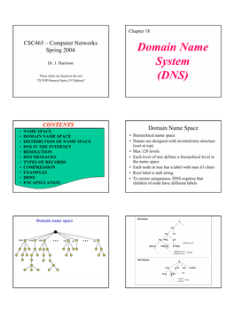 Domain Name System (DNS)