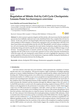 Regulation of Mitotic Exit by Cell Cycle Checkpoints: Lessons from Saccharomyces Cerevisiae