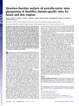 Structure–Function Analysis of Varicella-Zoster Virus Glycoprotein H Identifies Domain-Specific Roles for Fusion and Skin Trop