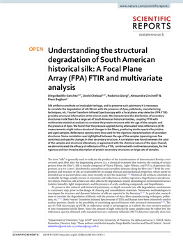 A Focal Plane Array (FPA) FTIR and Multivariate Analysis Diego Badillo-Sanchez1,2*, David Chelazzi1,2*, Rodorico Giorgi1, Alessandra Cincinelli1 & Piero Baglioni1