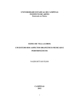 UNIVERSIDADE ESTADUAL DE CAMPINAS INSTITUTO DE ARTES Doutorado Em Música