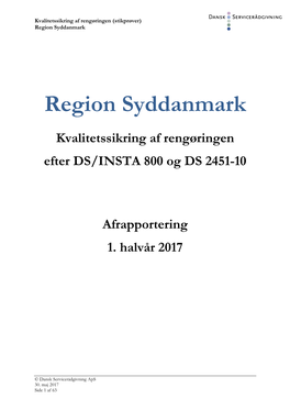 Region Syddanmark