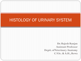 Histology of Urinary System