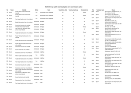 Office 2007 XLSX TN Report Document