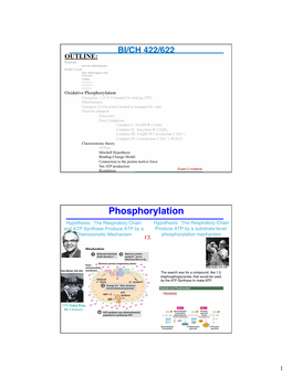 Phosphorylation