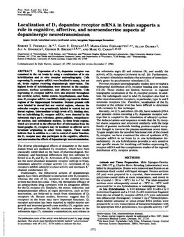 Localization of D1 Dopamine Receptor Mrrna in Brain Supports A