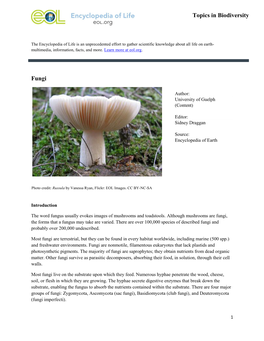 Fungi Topics in Biodiversity