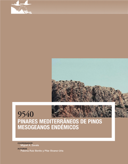 9540 Pinares Mediterráneos De Pinos Mesogeanos Endémicos