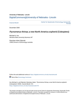 Pycnomerus Thrinax, a New North America Zopherid (Coleoptera)