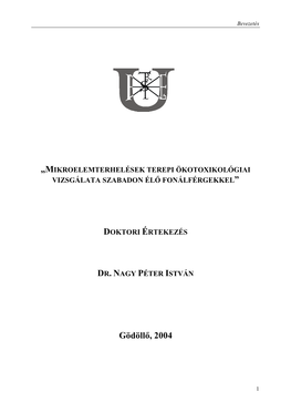 Nagy Péter Phd Disszertáció, 2004