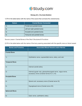 The Axial Skeleton Visual Worksheet