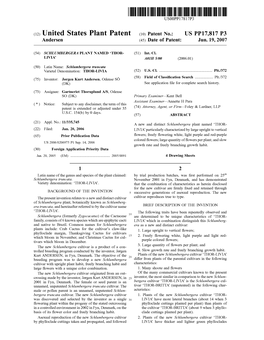 (12) United States Plant Patent (10) Patent No.: US PP17,817 P3 Andersen (45) Date of Patent: Jun