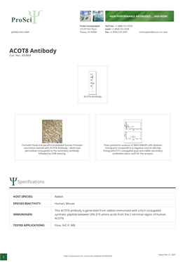 ACOT8 Antibody Cat