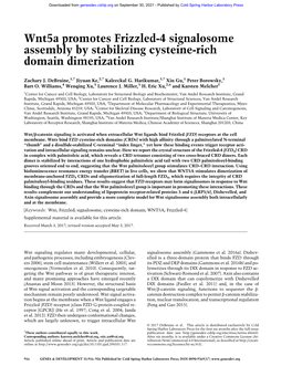 Wnt5a Promotes Frizzled-4 Signalosome Assembly by Stabilizing Cysteine-Rich Domain Dimerization