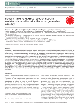 Novel 1 and 2 GABAA Receptor Subunit Mutations in Families With