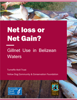 Net Loss Or Net Gain?