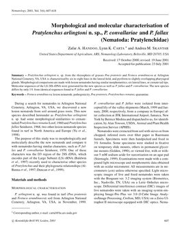 Morphological and Molecular Characterisation of Pratylenchus Arlingtoni N. Sp., P. Convallariae and P. Fallax (Nematoda: Pratyle