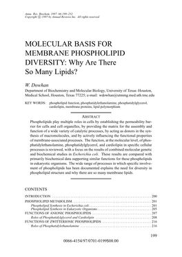 Why Are There So Many Lipids?