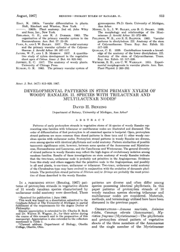 Developmental Patterns in Stem Primary Xylem Of