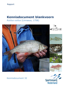 Kennisdocument Blankvoorn Rutilus Rutilus (Linnaeus, 1758)