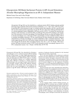 Glycoprotein-340 Binds Surfactant Protein-A (SP-A)