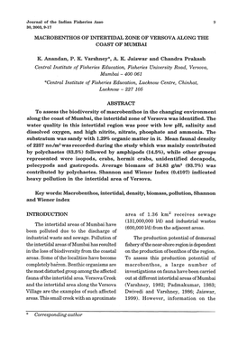 Macrobenthos of Intertidal Zone of Versova Along the Coast of Mumbai