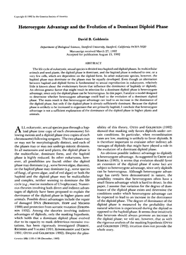 Heterozygote Advantage and the Evolution of a Dominant Diploid