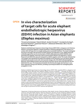 (EEHV) Infection in Asian Elephants