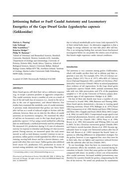 Jettisoning Ballast Or Fuel? Caudal Autotomy and Locomotory Energetics of the Cape Dwarf Gecko Lygodactylus Capensis (Gekkonidae)