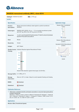 MAGEA3 Monoclonal Antibody (M01), Clone 6D10