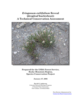 Eriogonum Exilifolium Reveal (Dropleaf Buckwheat): a Technical Conservation Assessment