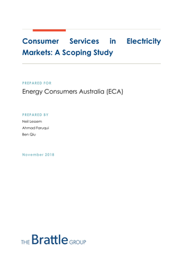 Consumer Services in Electricity Markets: a Scoping Study