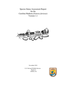 Species Status Assessment Report for the Carolina Madtom (Noturus Furiosus) Version 1.1