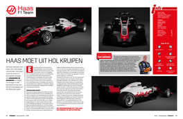 Haas Team (Pdf)
