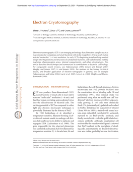 Electron Cryotomography